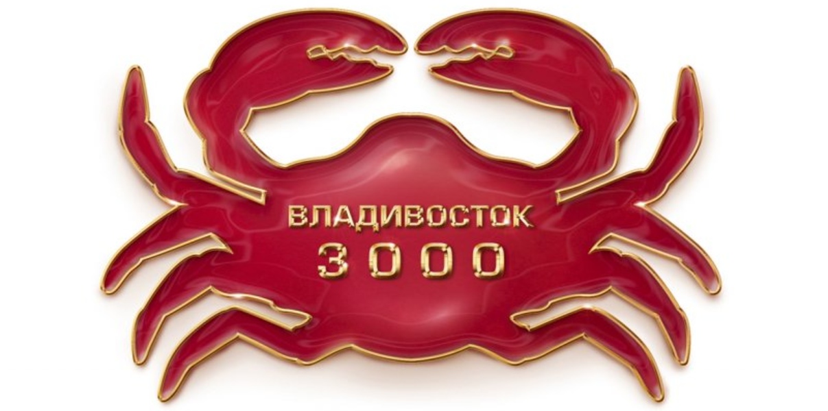 Иллюстрации и оформление обложки книги «Владивосток 3000»