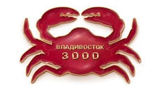 Иллюстрации и оформление обложки книги «Владивосток 3000»